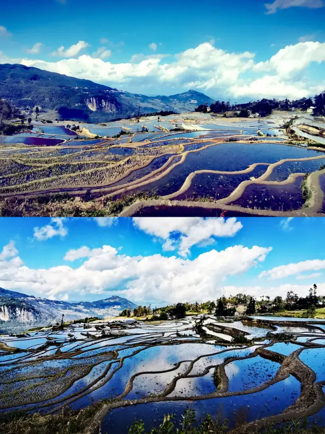 계단 오르기??? 계단식 논 오르기는 어떠세요!!! 계단보다 더 높은 계단