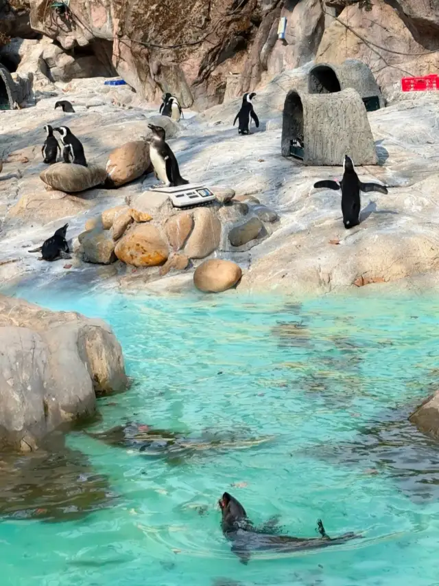 The new retro amusement park in Magic City, photos straight from the camera can blow up your social feed!