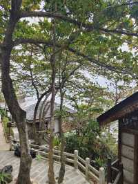 13日暢遊萬寧等地 玩轉熱門風景 不踩雷攻略