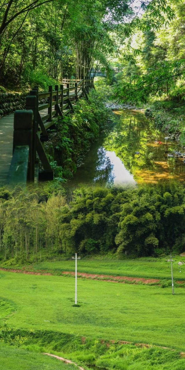 春日遠足攻略：12處綠色療癒之地，啟程上春山！