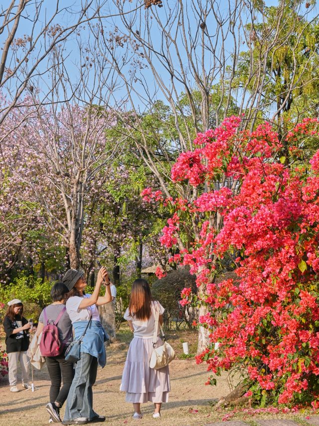 海珠湖公園：逃離CBD的治癒系氧氣春遊地！