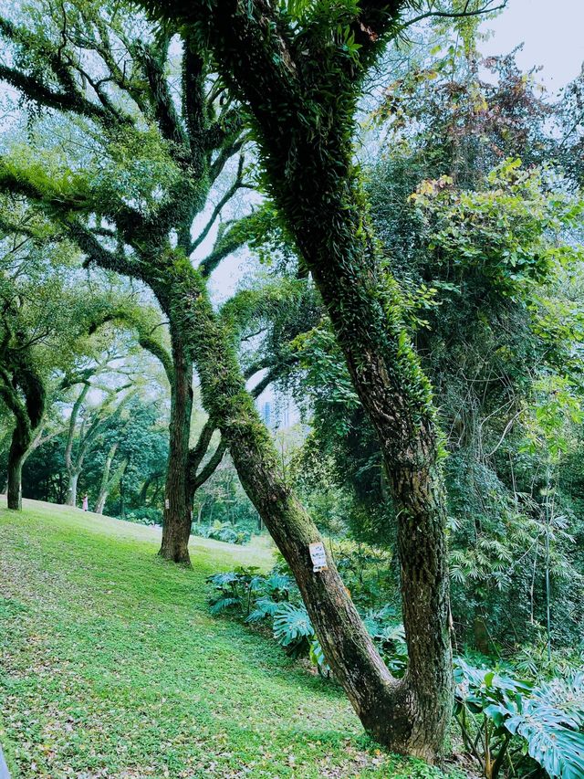 南寧人民公園，寶藏遛娃遊玩攻略