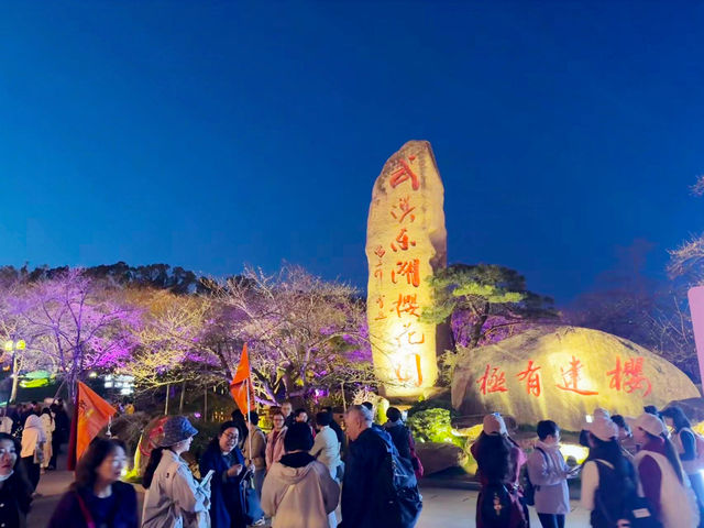 值得推薦喔！武漢東湖櫻花園