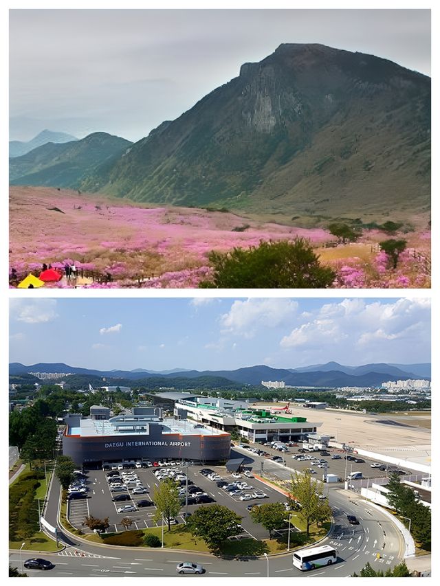 大邱：古今交織的浪漫之旅