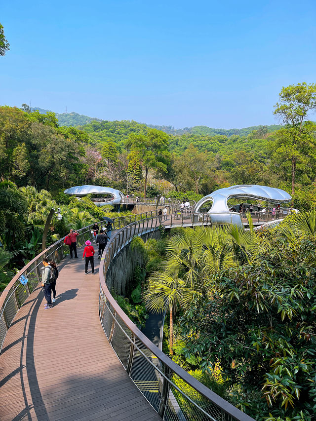 廣州攻略｜花城賞花熱，雲蘿植物園打卡多巴胺