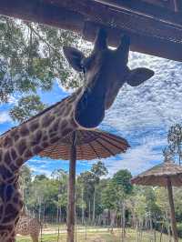 【富國島野性出片指南｜在珍珠野生動物園拍出野性大片】