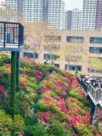 深圳玉龍公園：都市中的靜謐桃源