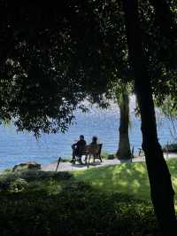 Discover the Beauty of West Lake with a 30,000-Step Adventure!