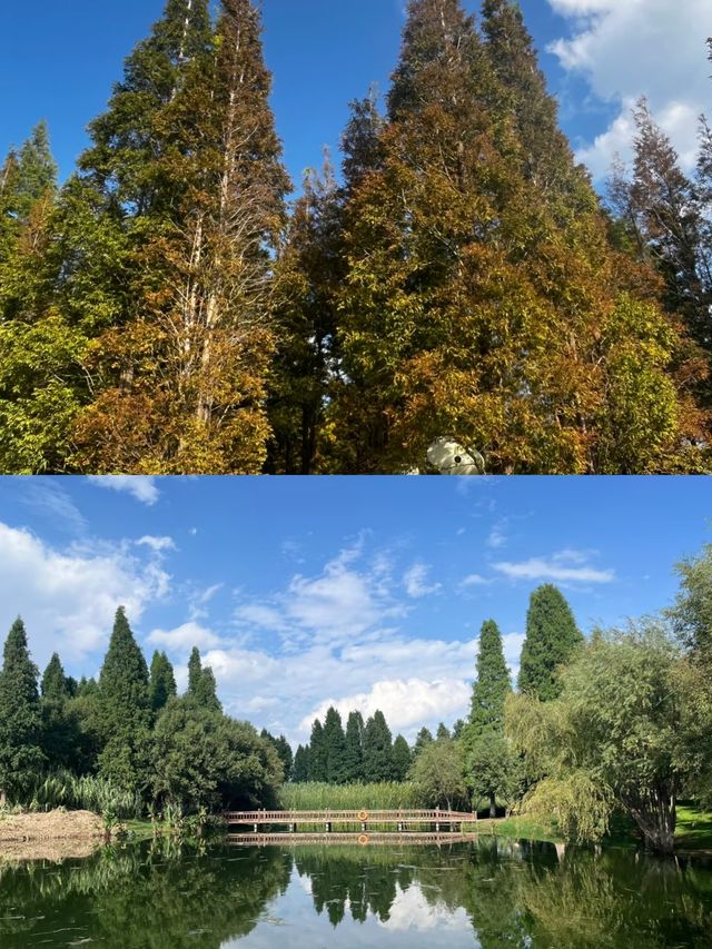 探索昆明海洪濕地，與自然共舞