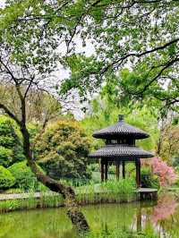 杭州旅遊 | 本地人私藏，避開人潮的寶藏