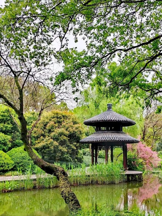 杭州旅遊 | 本地人私藏，避開人潮的寶藏