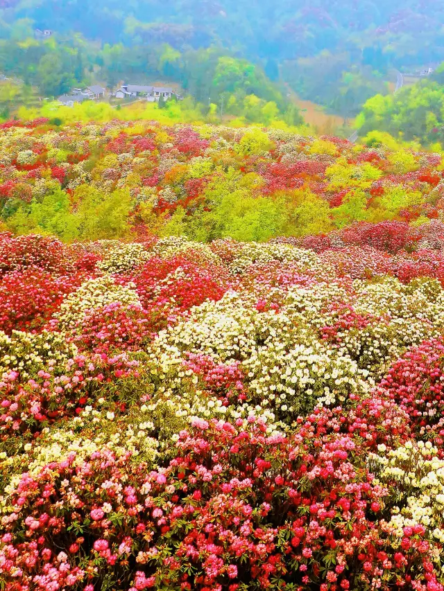 비제 여행 가이드