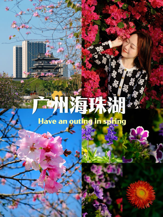 🌸全家一起去踏春｜廣州海珠湖🍀