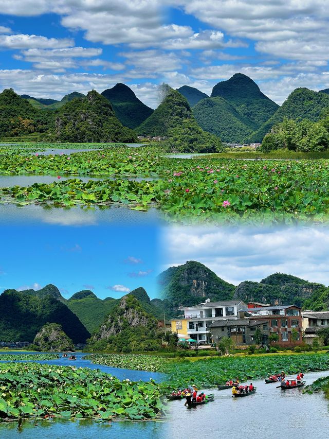 四月普者黑 | 喀斯特山水間的撒歡之旅，附超全防坑攻略