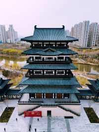 鄭州｜西流湖公園｜春日限定｜梅櫻共舞的浪漫奇遇
