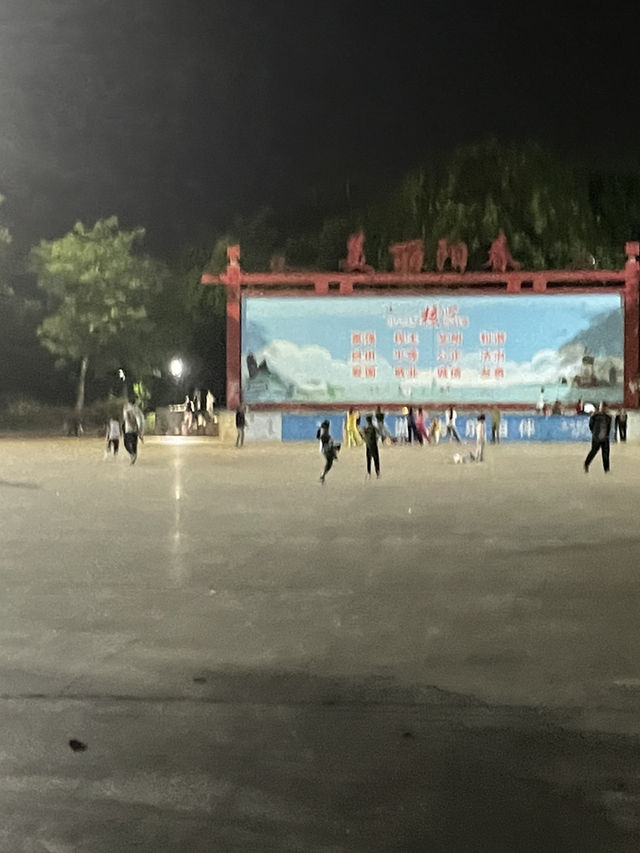 名樹公園散步攻略｜午後靜謐時光，與自然的溫柔相遇🌳☀️