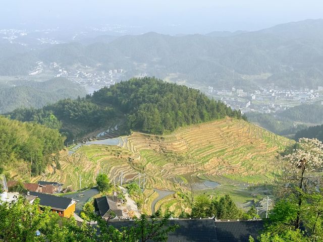 婁底|紫鵲界梯田|旅遊攻略齊全