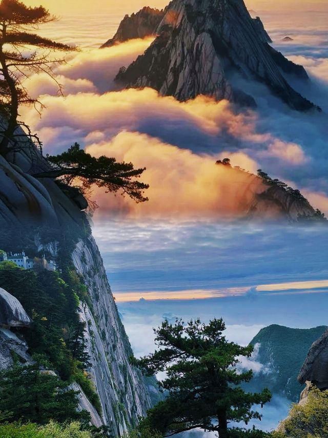 等等 什麼？ 華山 點進來讓你看看什麼是真正的華山