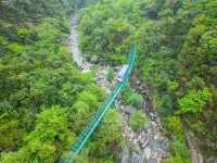我在廬山和自然私奔的24小時