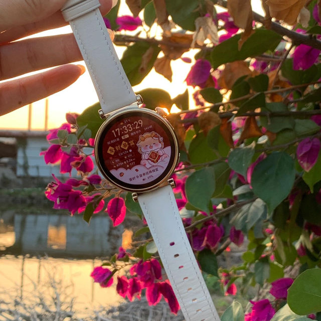 ✨中山漫步奇遇記！挖掘老城區的隱藏浪漫