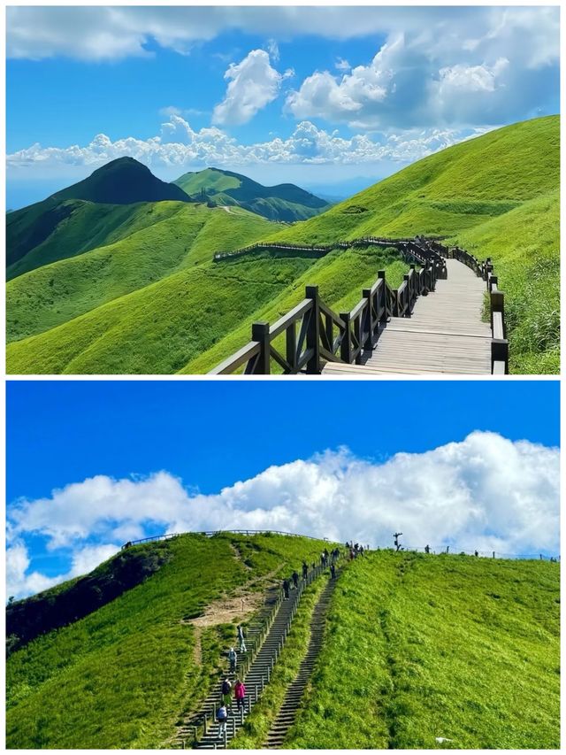武功山已回！真嘅唔建議五月去