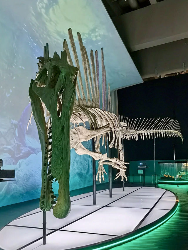 科學的奇幻劇場：香港科學館的知識冒險