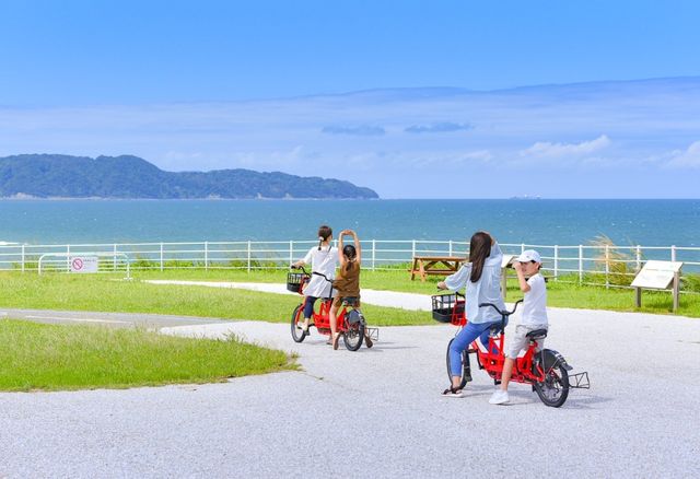 花海騎遊·與鯊共舞：探索福岡海之中道