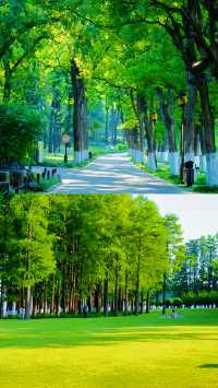 《東湖旅遊攻略，唔通唔係你武漢之旅嘅必備指南？》
