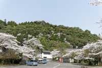 大分縣