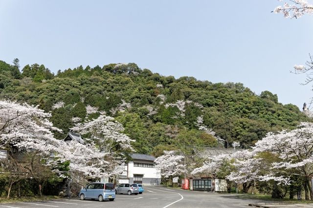 大分縣