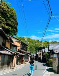 大阪/京都出發，伊根舟屋天橋立跟團推薦
