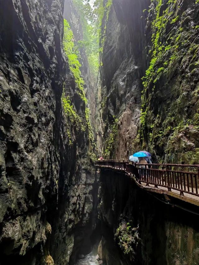 重慶寶藏秘境｜武陵山大裂谷，一眼就心動|||地質奇觀