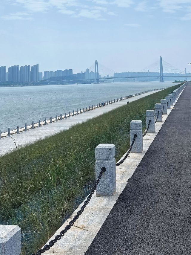 「第一視角」帶你上月亮島