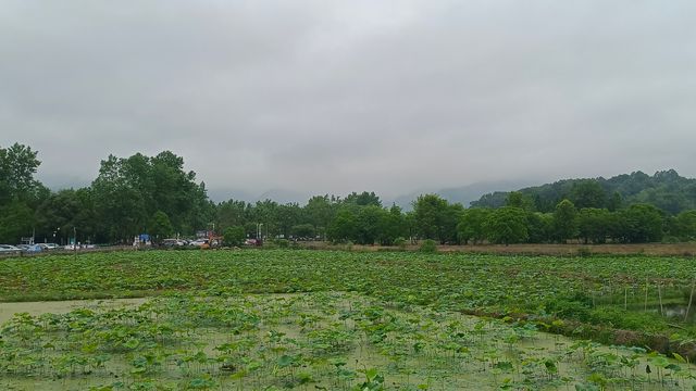宏村最美鄉村中最靚嘅民宿——花築來燕堂