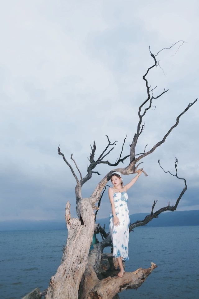 喺大理洱海旁邊，有一處恍如世外桃源嘅地方