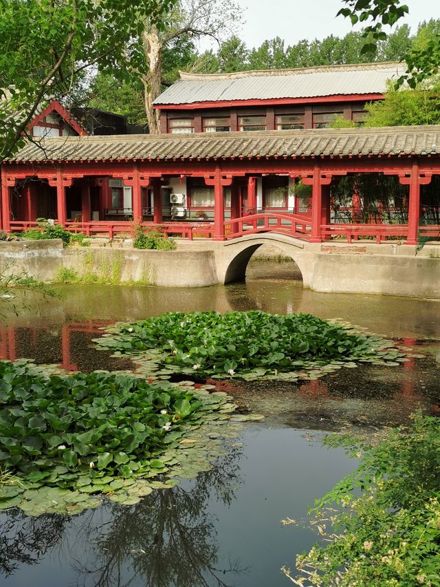 【河南省許昌市】灞陵橋景區自駕遊攻略。