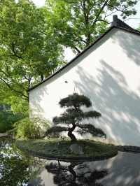 凡雲西溪｜江南島居，靜待西溪濕地的悠長夏日