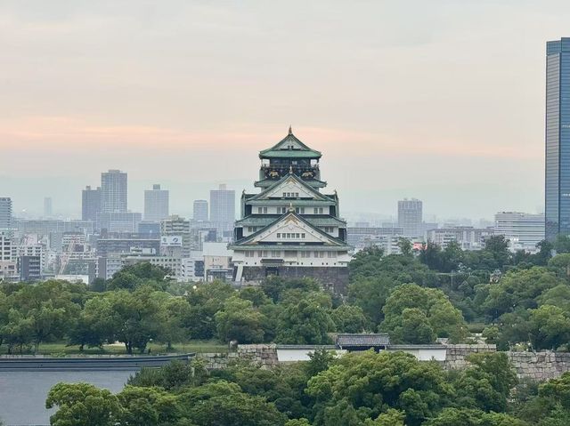 大阪城柏典酒店