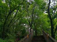 延吉帽兒山森林公園景區