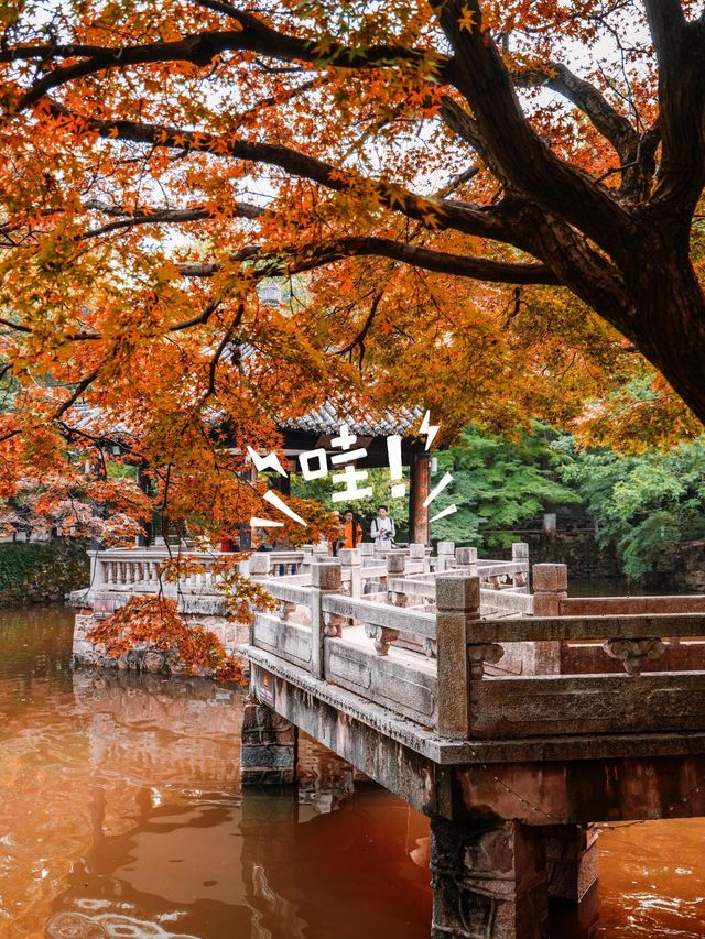 逃離人潮！常熟秋日私藏之旅