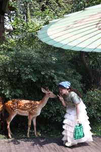 崇州·隱藏喺街子古鎮嘅小京都