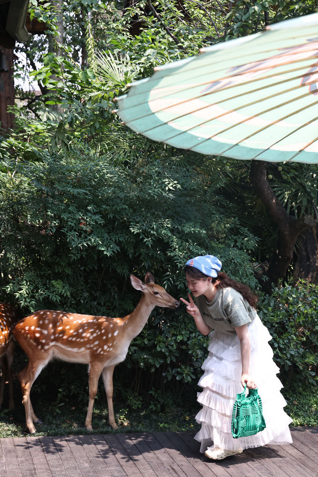 崇州·隱藏喺街子古鎮嘅小京都