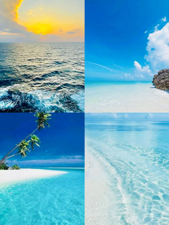 探索西沙群島｜邂逅人間仙境般的碧海珊瑚與靈動海龜