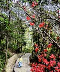 溫州雁蕩山，天下奇秀