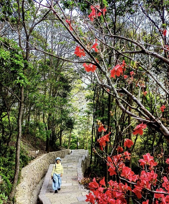 溫州雁蕩山，天下奇秀