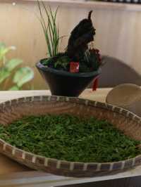 安吉JW萬豪 | 帶小朋友採茶，住進江南的詩意春天
