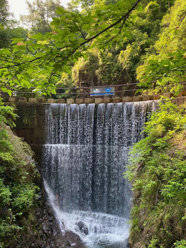 桐廬大奇山—後悔而家先發現呢個旅遊聖地