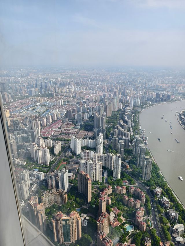 上海之巔打卡指南