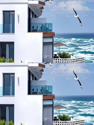 Zhoushan Putuo Island! The sea-view homestay has reached the next level