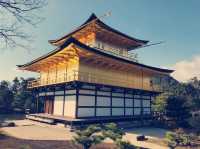 大阪近郊隱世桃源！奈良公園與鹿群共遊的治愈時光】**  